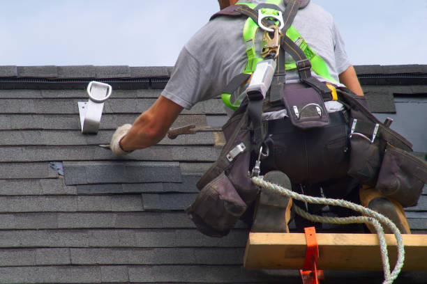 Best Roof Gutter Cleaning  in Meridian Hills, IN